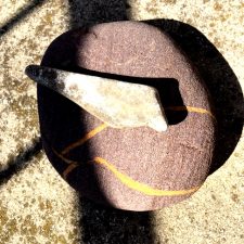 IMG_4923