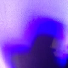 IMG_5486