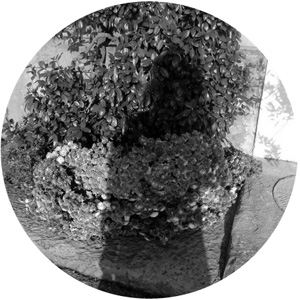 band5-liebertreten02