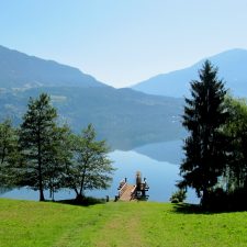 IMG_1408