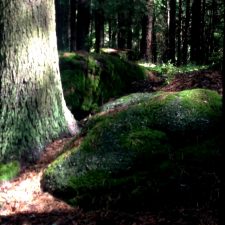 IMG_5046