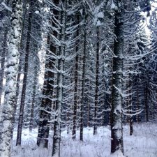 IMG_5799